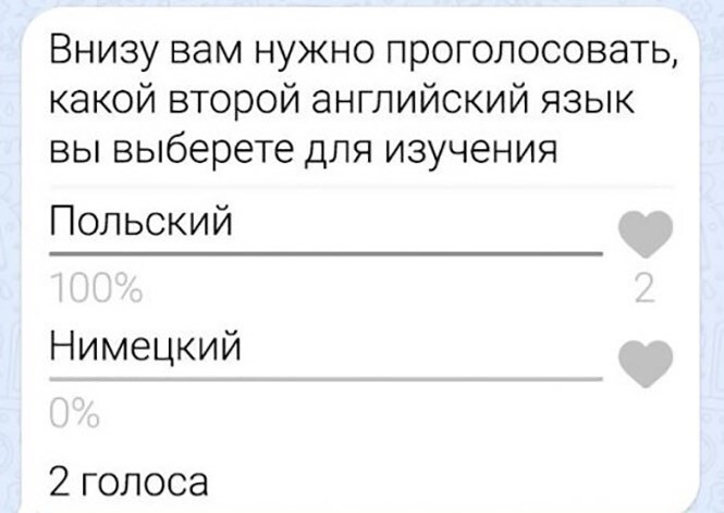 Фотоприколы и прикольные картинки
