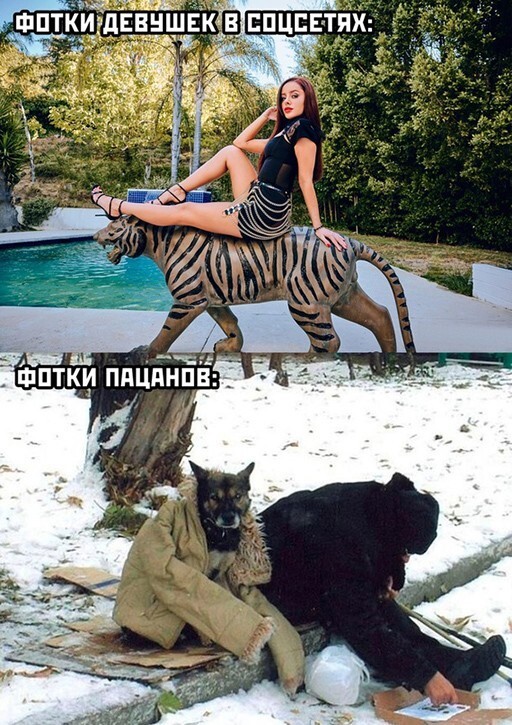 Фотоприколы и прикольные картинки