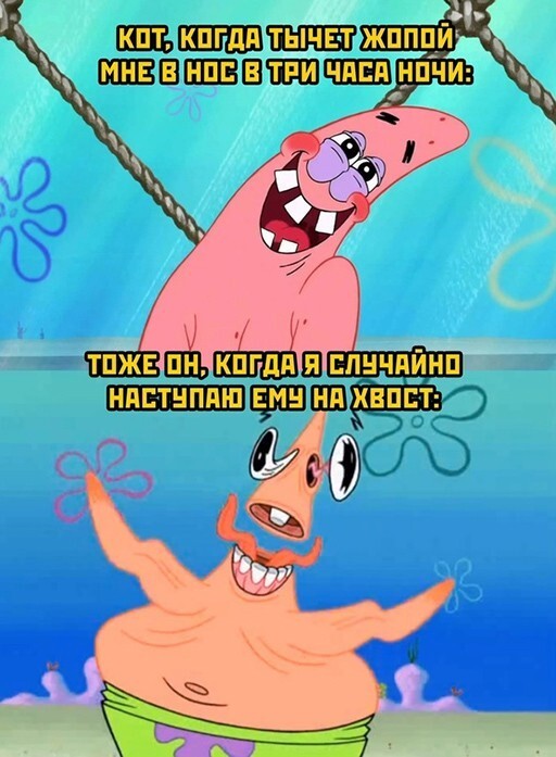 Фотоприколы и прикольные картинки