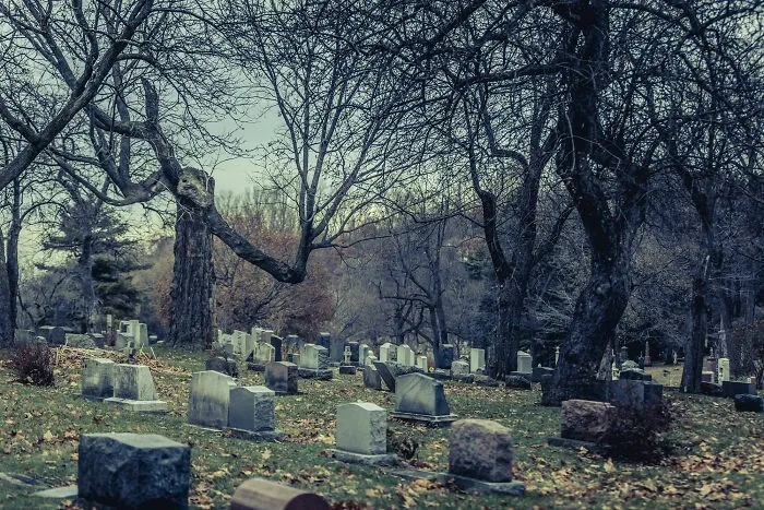 20+ неутешительных фактов, которые могут напугать