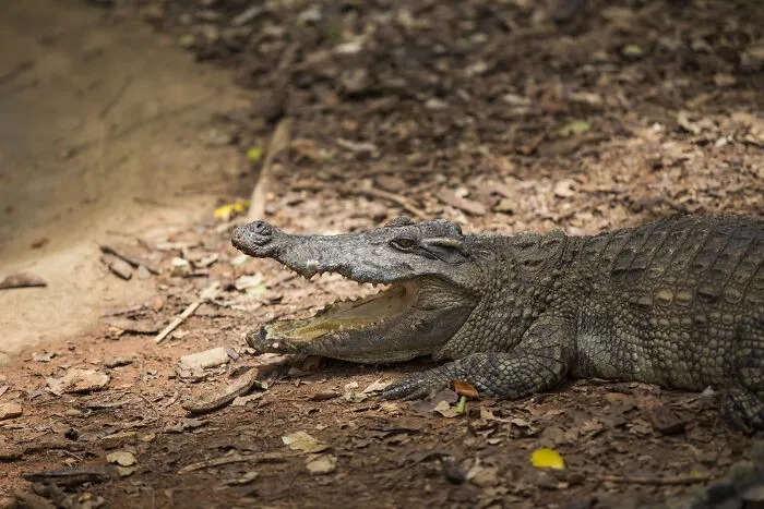 20+ неутешительных фактов, которые могут напугать