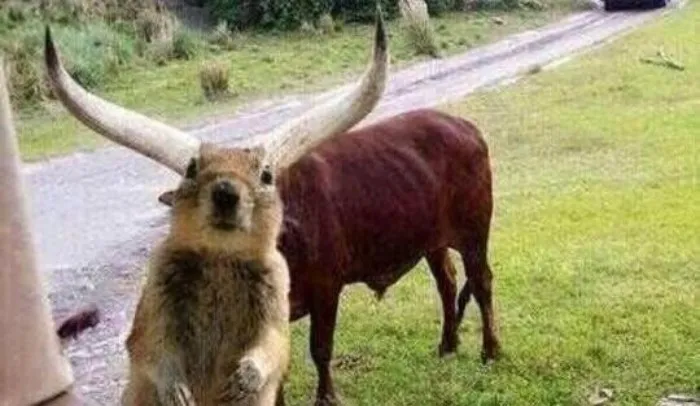 18 изображений, которые доказывают, что всё более сомнительно, чем кажется