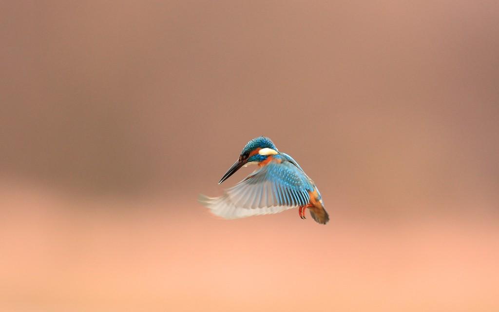 Фотография: 30 фактов, про которые вы наверняка не знали №20 - BigPicture.ru