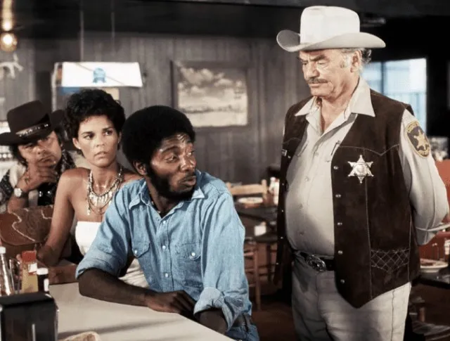 Американский шериф: почему он не полицейский, что он делает и как им стать