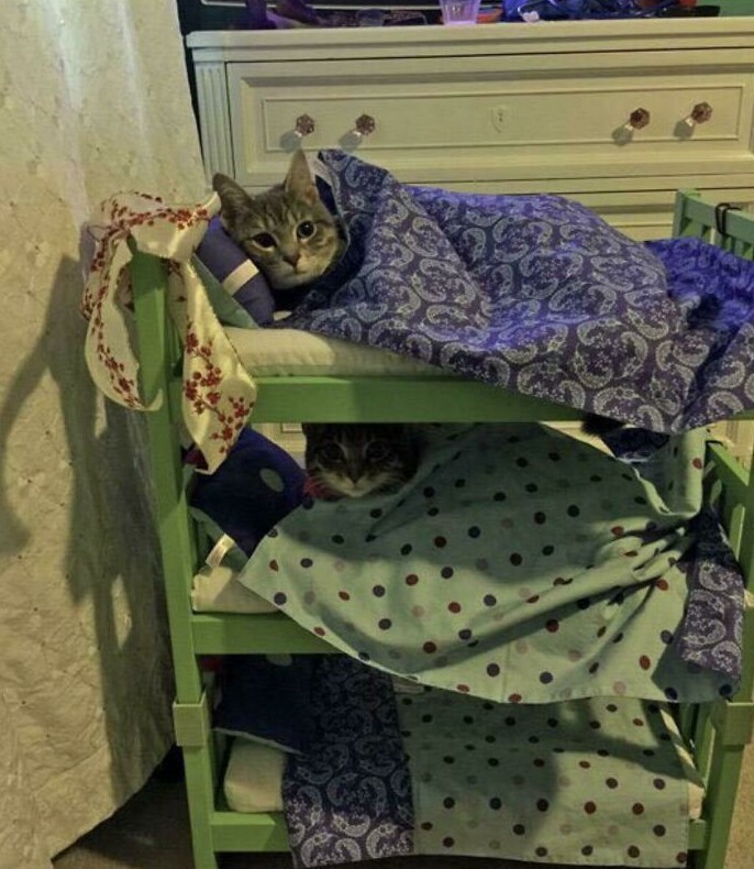 Все спят на своих местах Все спят на своих местах