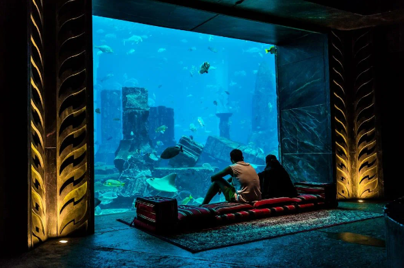 Обратная сторона Дубая: о чем не говорят блогеры