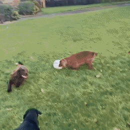 Подборка гифок (25 гифок) - 07.03.2023