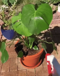 Подборка гифок (25 гифок) - 07.03.2023