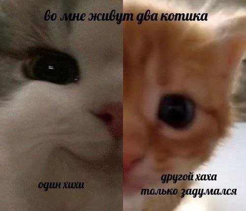 Лучшие шутки и мемы из Сети - 10.03.2023