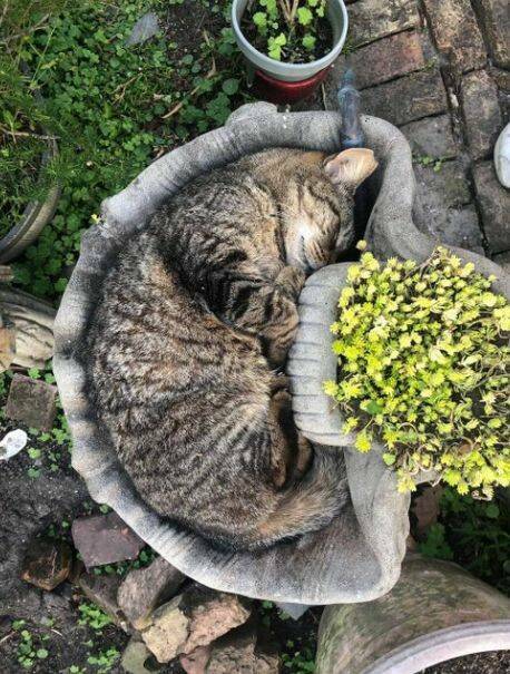 Подборка картинок. Вечерний выпуск - 15.03.2023 (30 фото)