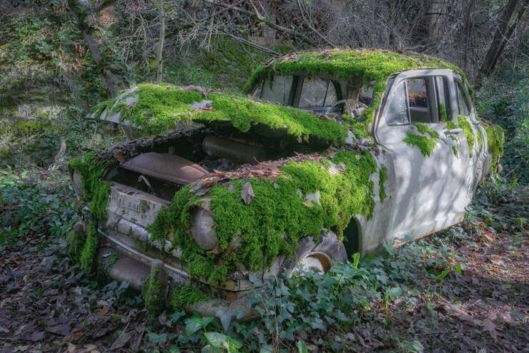 Подборка картинок. Вечерний выпуск - 15.03.2023 (30 фото)