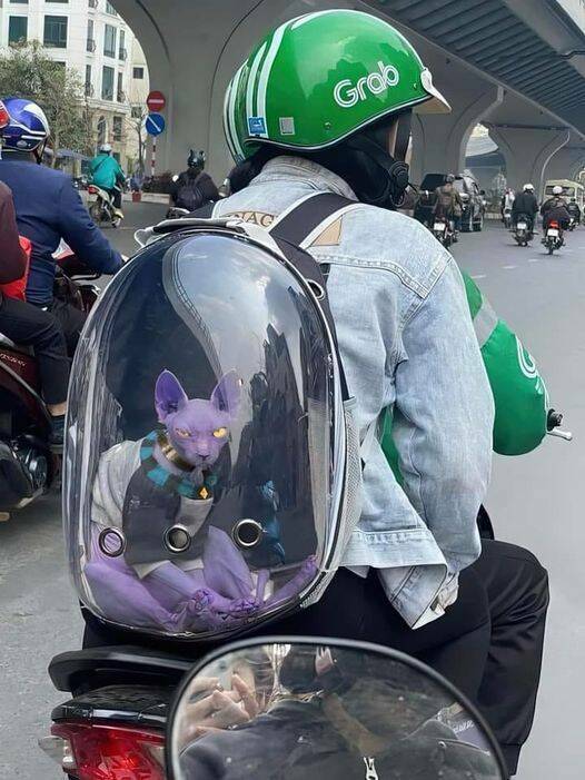 Подборка картинок. Вечерний выпуск - 15.03.2023 (30 фото)