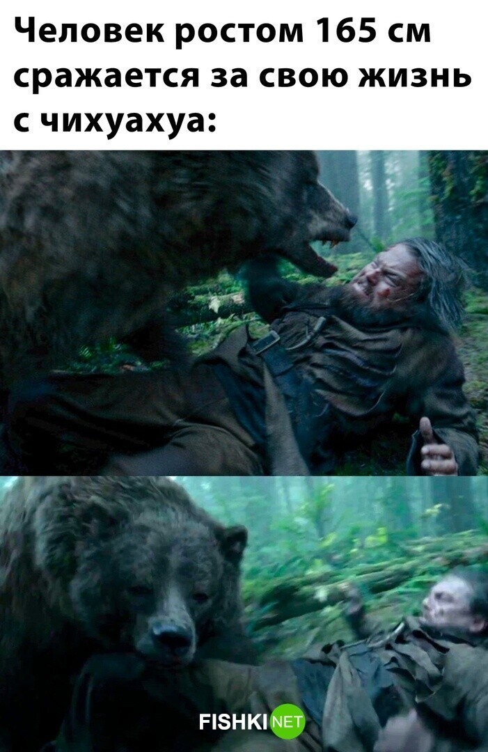 Комментарии и картинки из соцсетей. Свежак за 19 марта