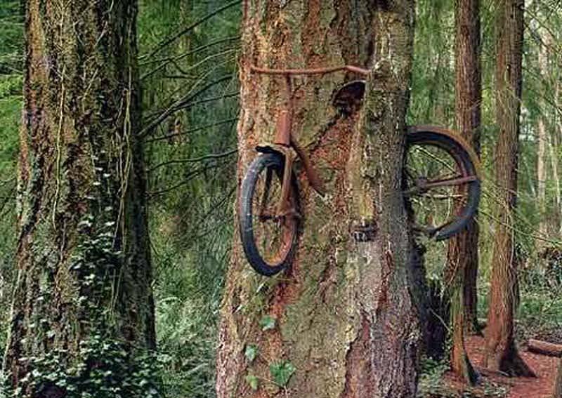 Фотография: 20 изображений которые, как в это ни трудно поверить, сделаны без фотошопа №7 - BigPicture.ru