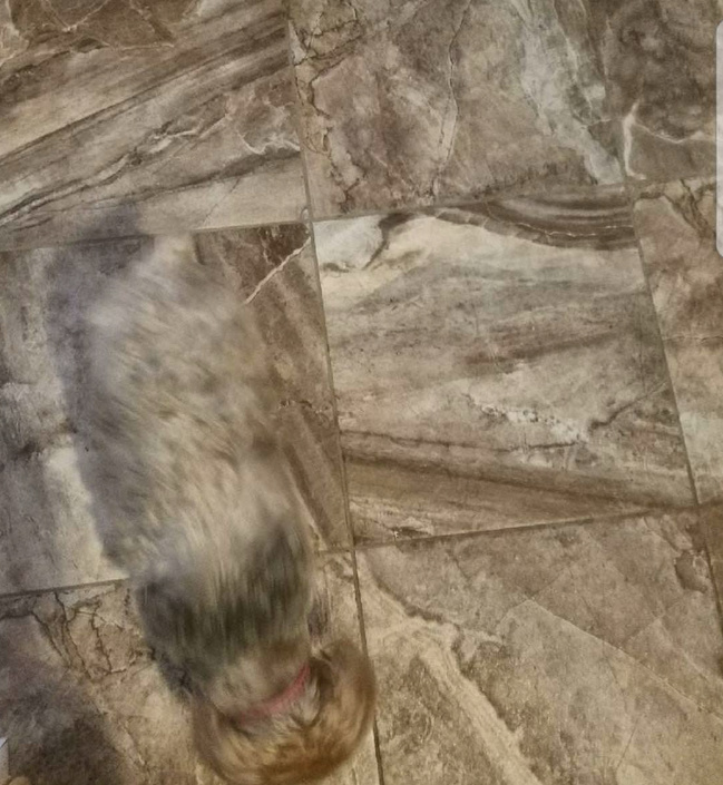 Фотография: 20 интересных фотоиллюзий, которые введут вас в замешательство №21 - BigPicture.ru