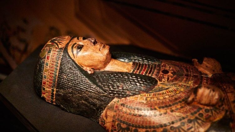 Молекулярная история вирусов. В Древнем Египте были малярия, туберкулез и, возможно, оспа и полиомиелит. Фото.