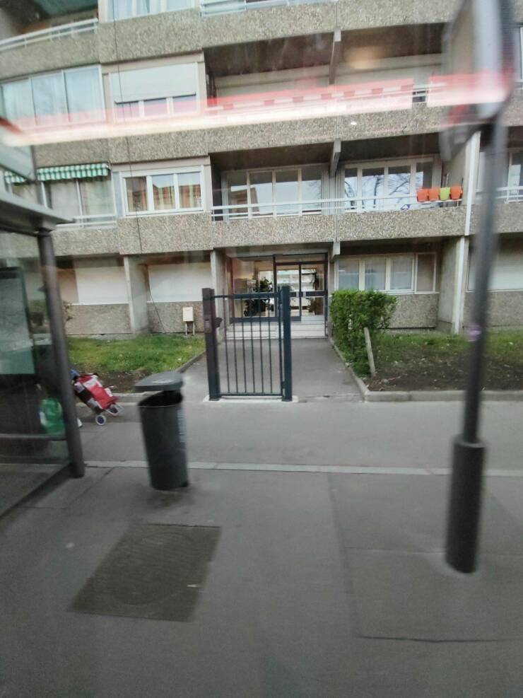 Подборка картинок. Вечерний выпуск - 23.03.2023 (30 фото)