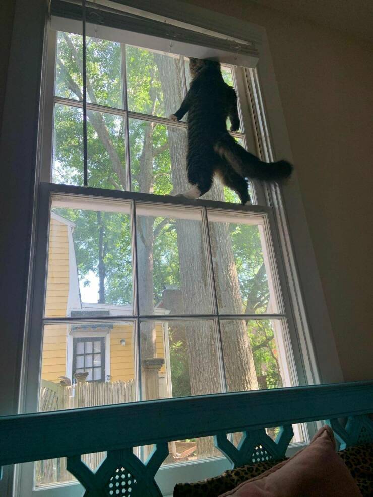 Подборка картинок. Вечерний выпуск - 23.03.2023 (30 фото)