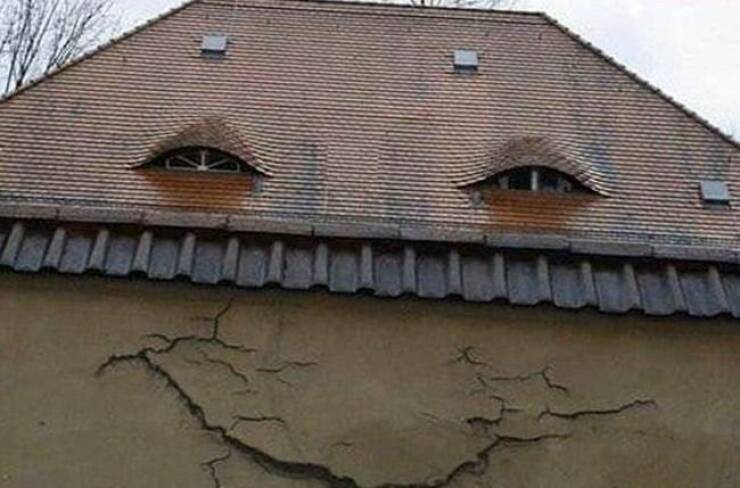 Подборка картинок. Вечерний выпуск - 23.03.2023 (30 фото)