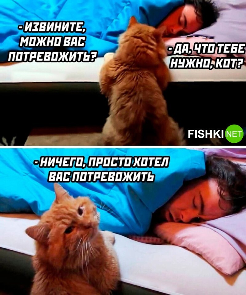 Комментарии и картинки из соцсетей. Свежак за 8 апреля