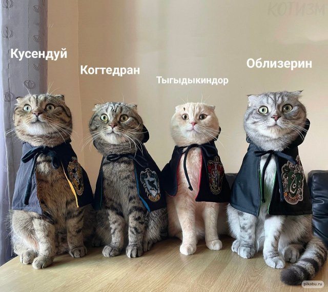 Лучшие шутки и мемы из Сети - 03.04.2023