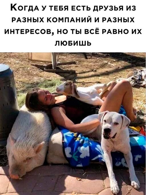 Фотоприколы и прикольные картинки