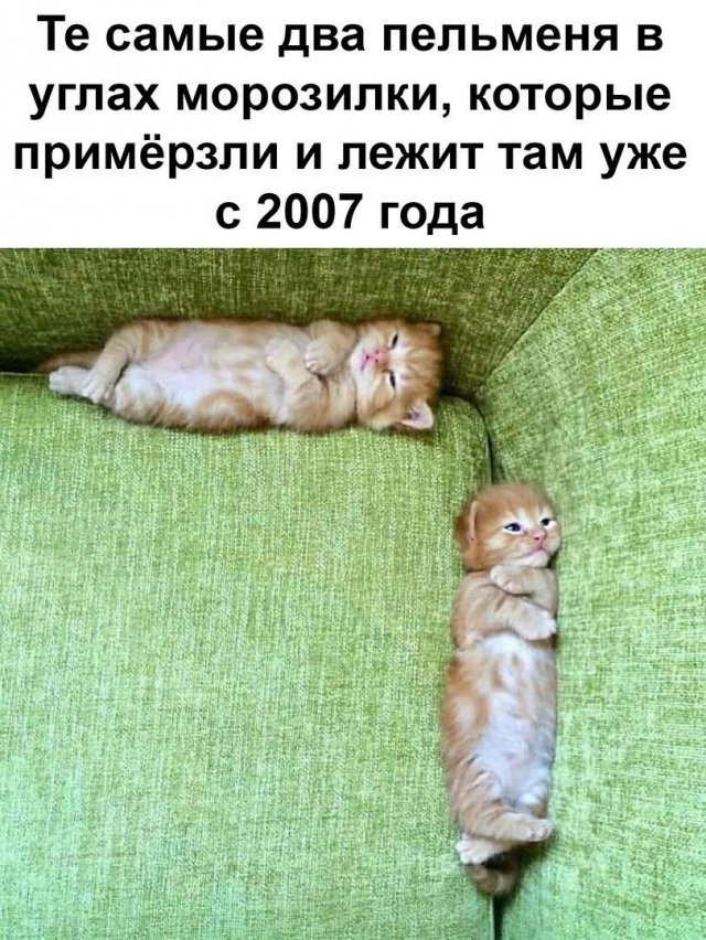 Лучшие шутки и мемы из Сети - 17.04.2023