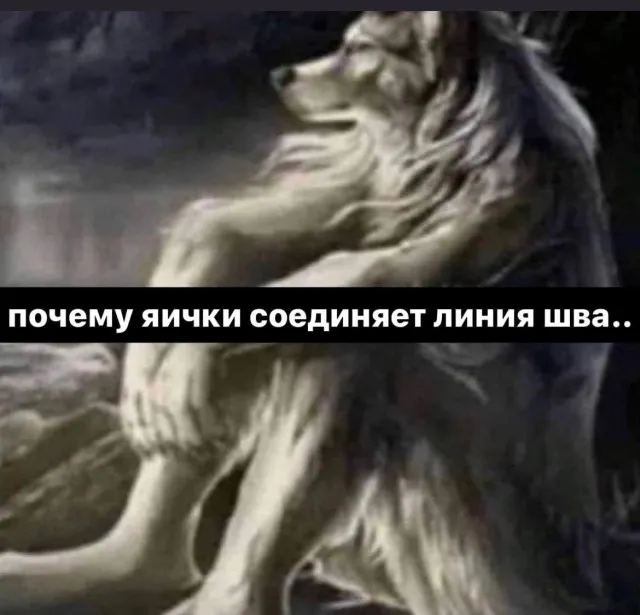 Картинки