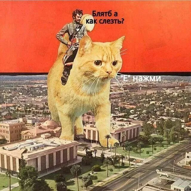 Картинки