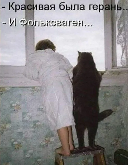 Картинки