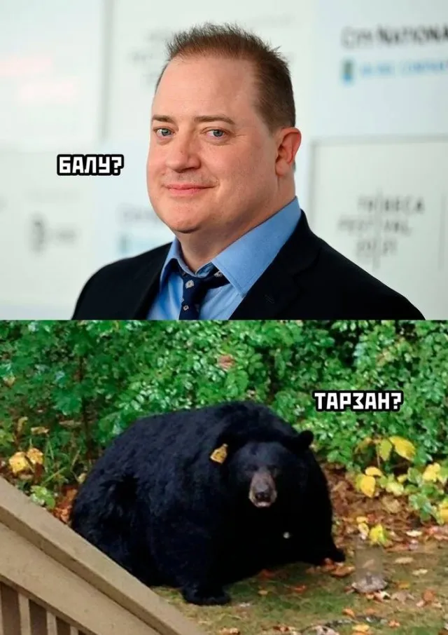 Картинки