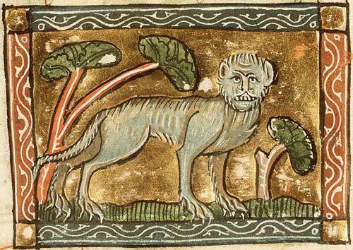 В защиту котеков