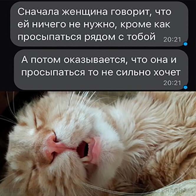 Фотоприколы и прикольные картинки