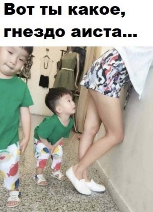 Фотоприколы и прикольные картинки