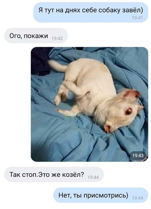 Фотоприколы и прикольные картинки