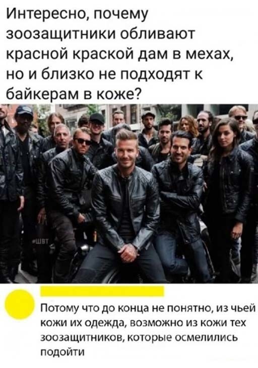 Фотоприколы и прикольные картинки