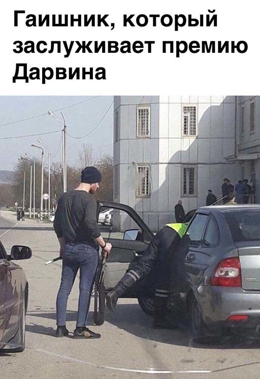 Фотоприколы и прикольные картинки