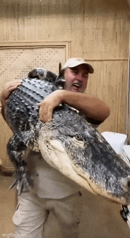 Подборка гифок -  25.04.2023