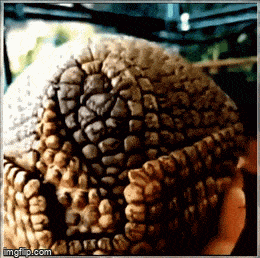 Подборка гифок -  25.04.2023