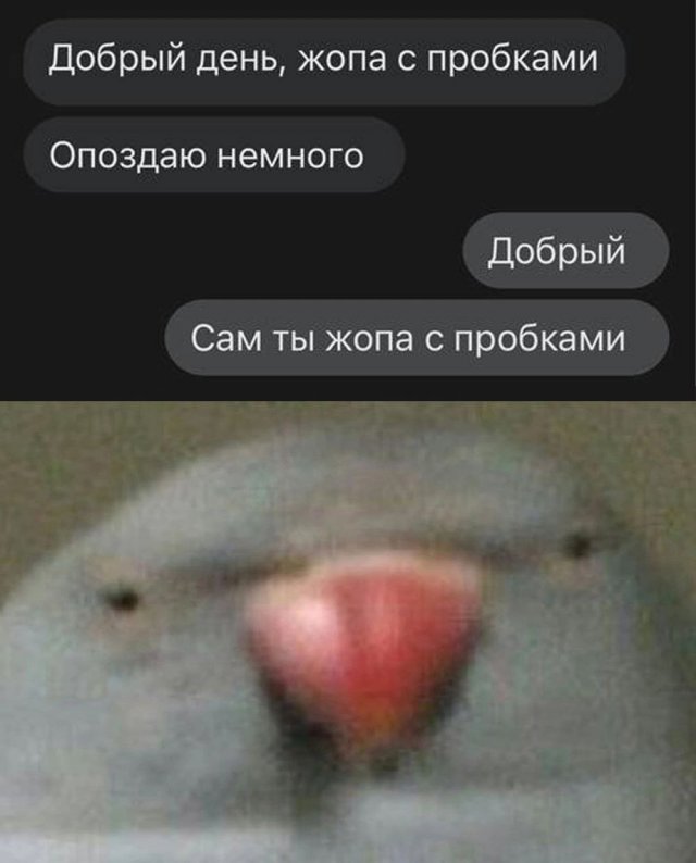 Лучшие шутки и мемы из Сети - 26.04.2023