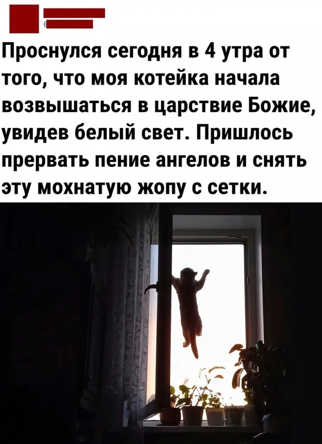 Так себе картинки