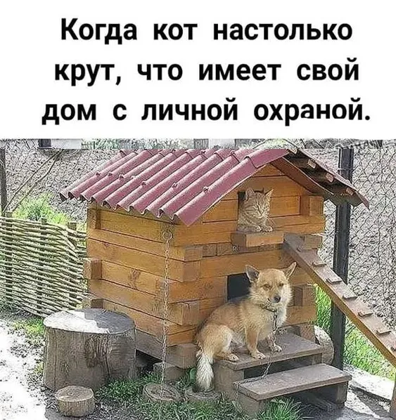 Так себе картинки