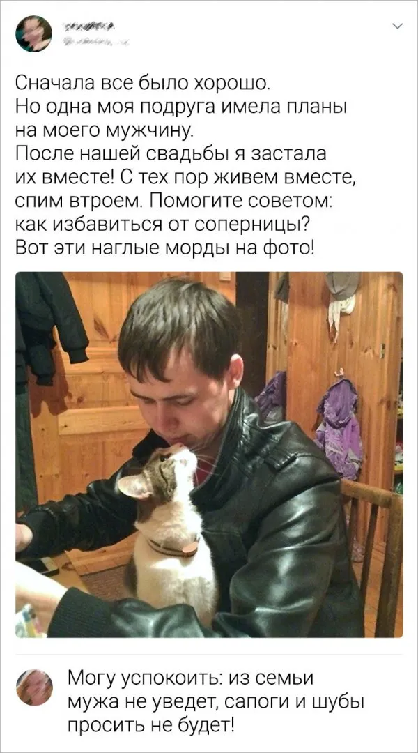 Подборка забавных комментариев