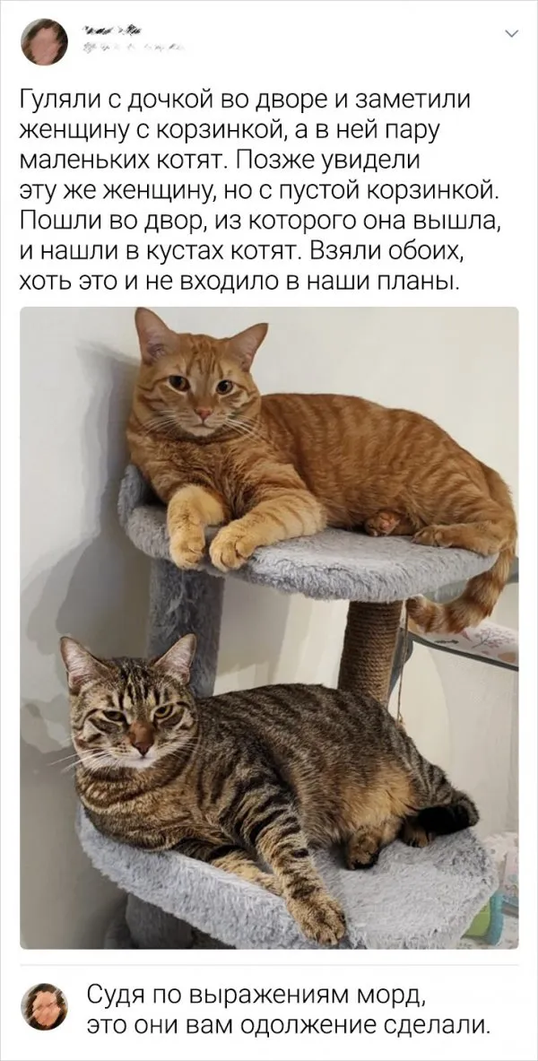 Подборка забавных комментариев