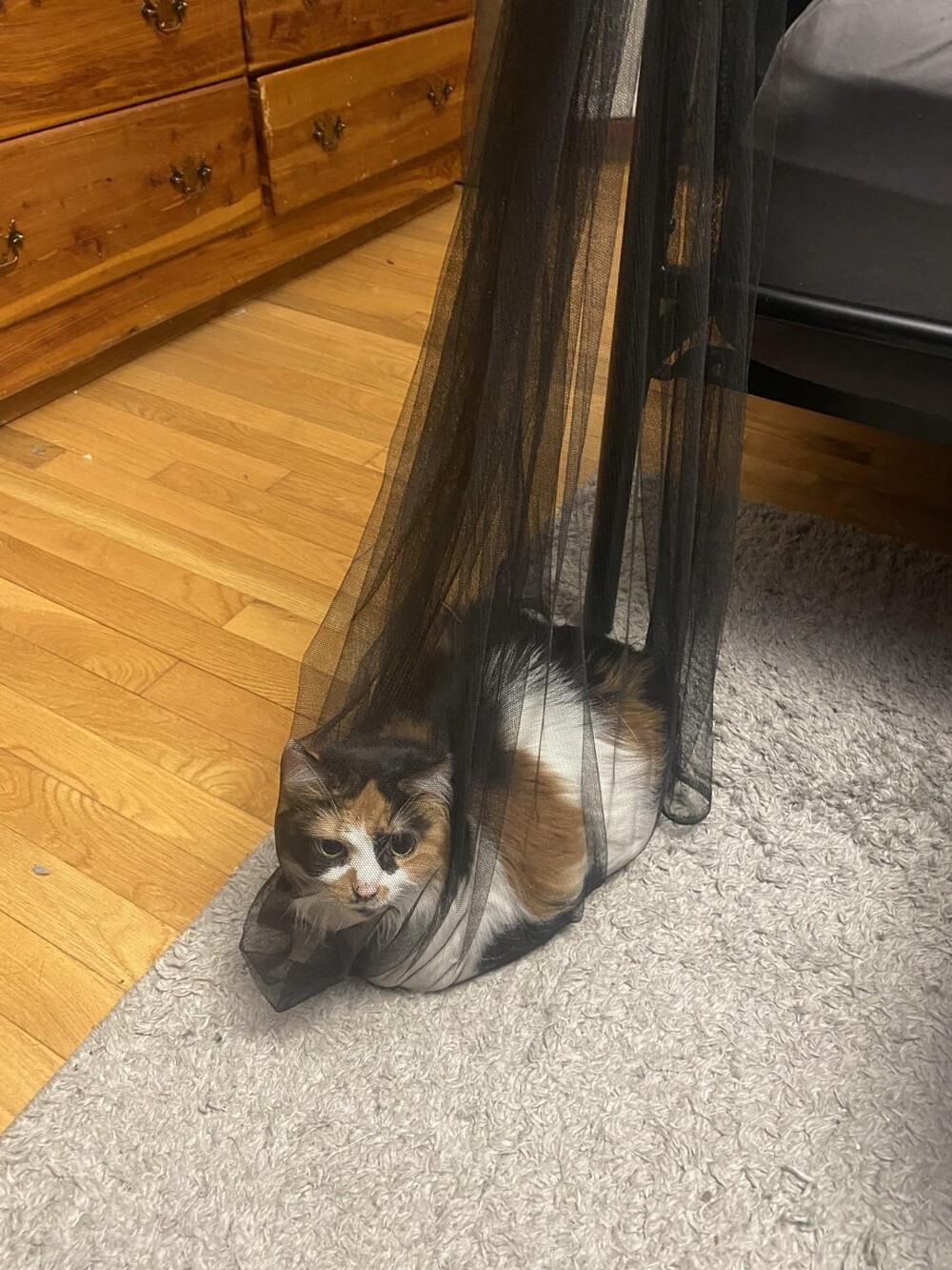 16. Помощники в уборке