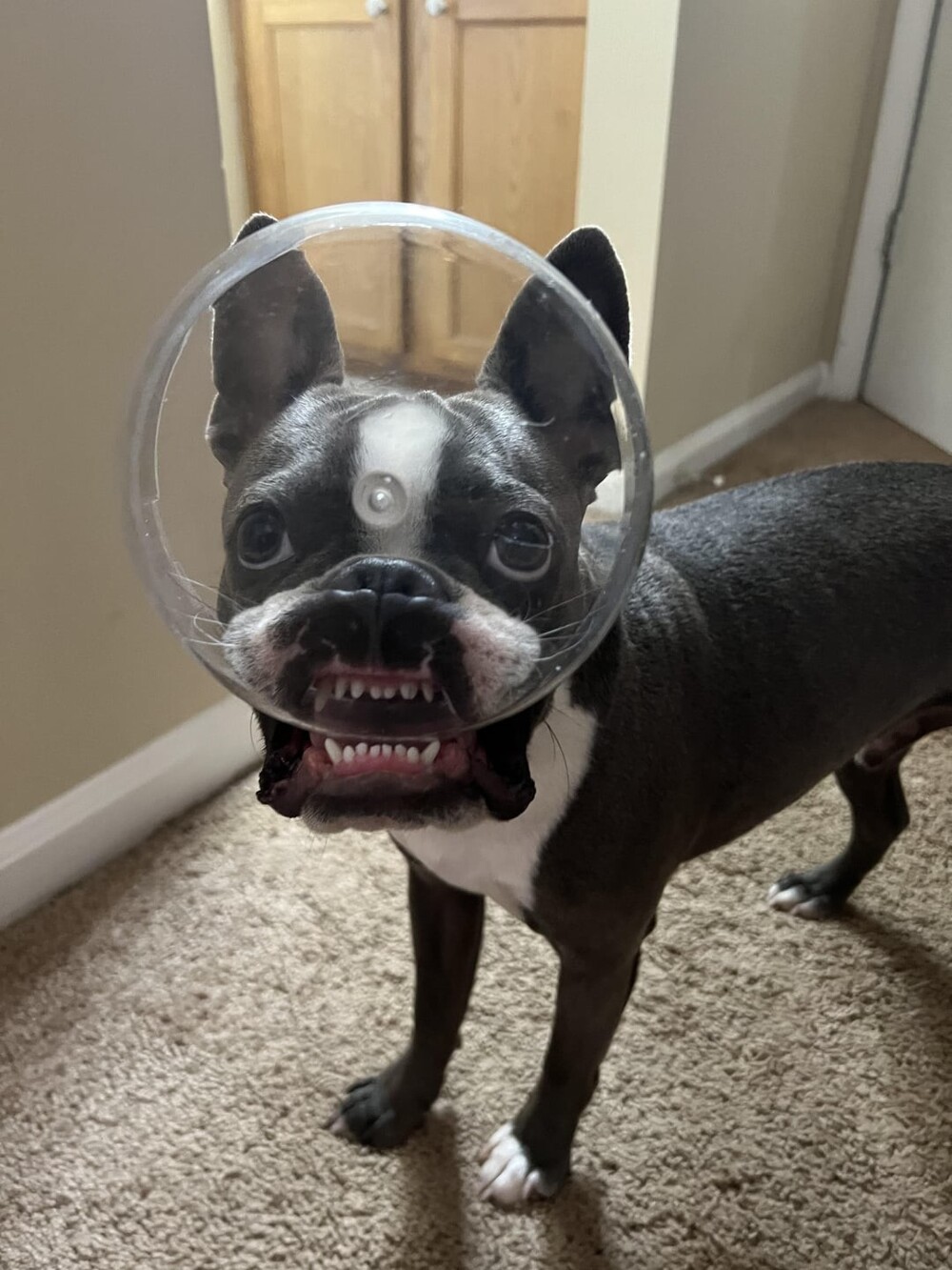 14. Смотри, что я нашёл