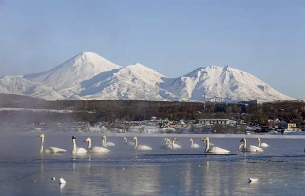камчатка