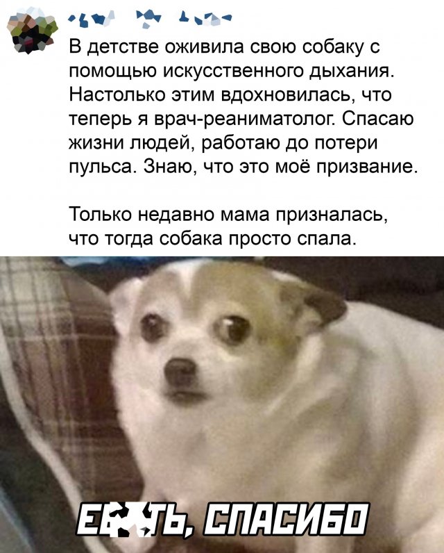 Подборка картинок. Вечерний выпуск - 08.05.2023