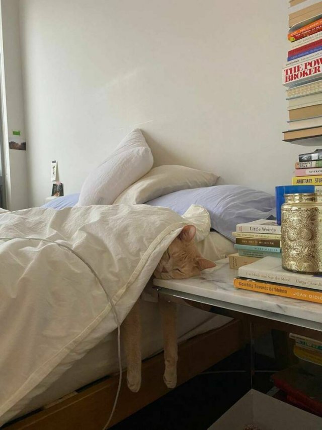 Подборка картинок. Вечерний выпуск - 08.05.2023