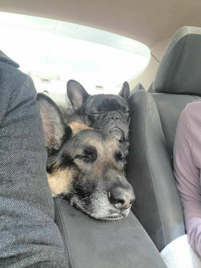 Подборка картинок. Вечерний выпуск - 08.05.2023